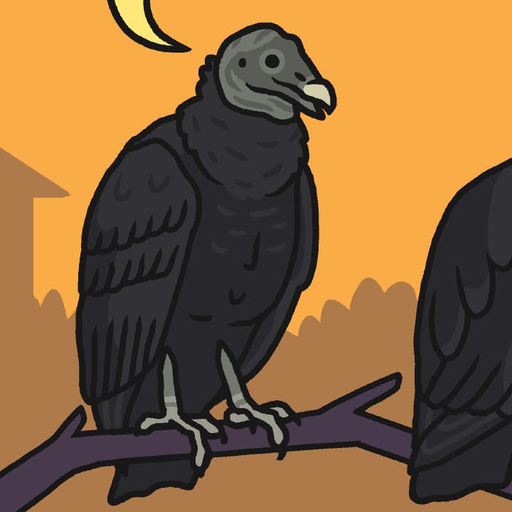 Vulture Halloween